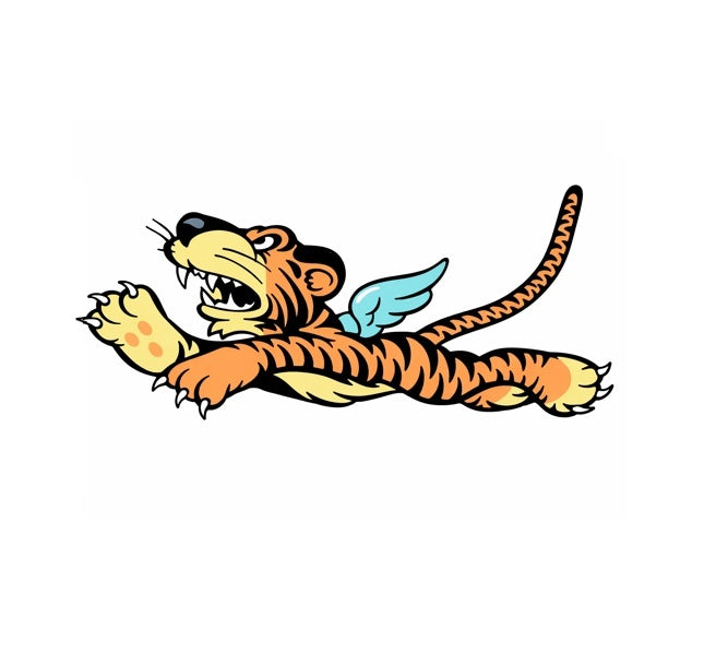 AVG Flying Tigers WW2 Military aircraft markings
