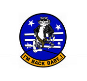 F-14 Tomcat Military Aviation Decal