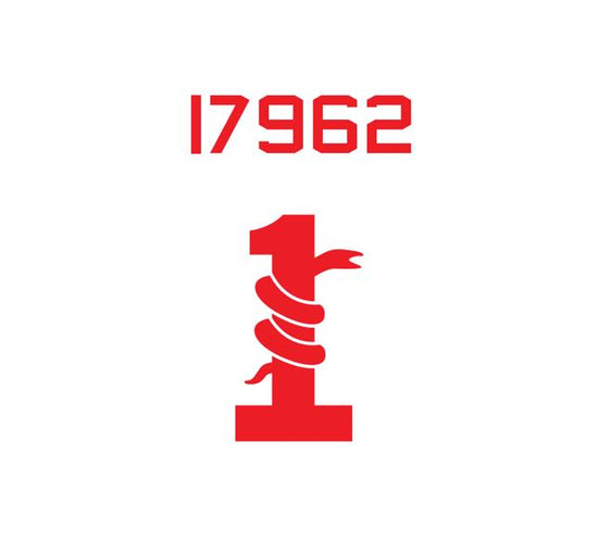 SR71 Blackbird Decal