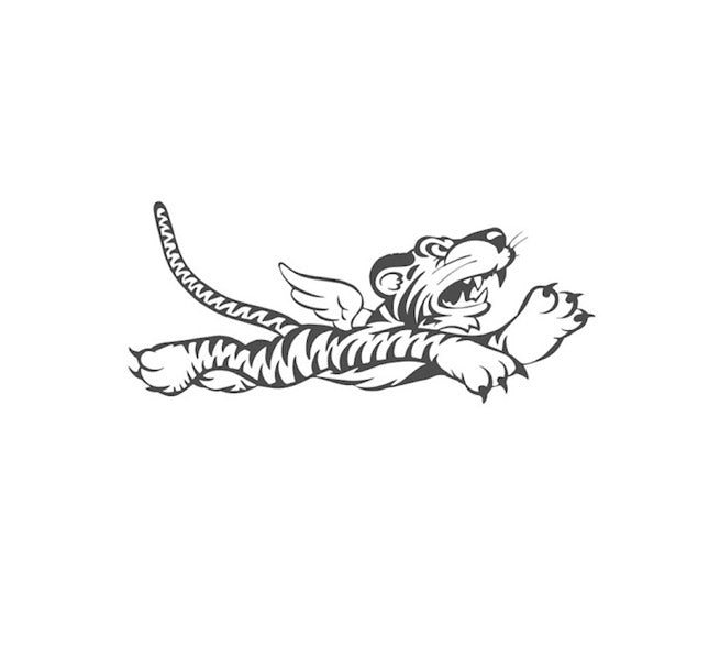 flying tiger motorcycle helmet decak World War 2 Fighter Teeth Tiger Teeth Green New Sportbike Decal Sticker : Automotive water bottles United by Color P40 Warhawk