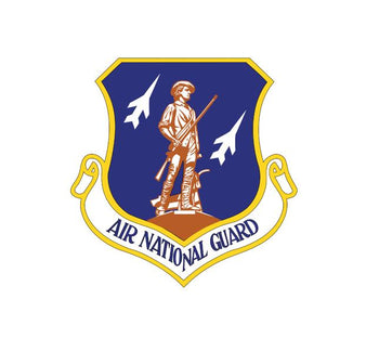 Air National Guard Decal-Squadron decal
