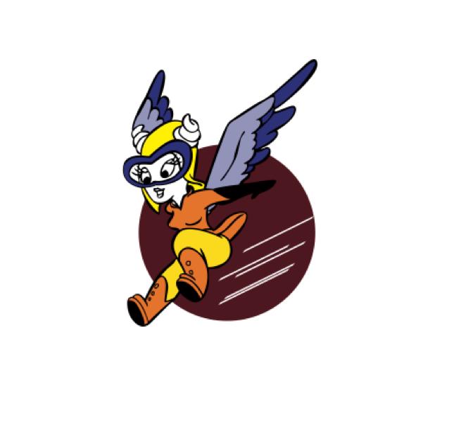 wasps womens airforce