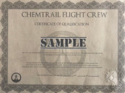 Chemtrail Flight Crew Cap